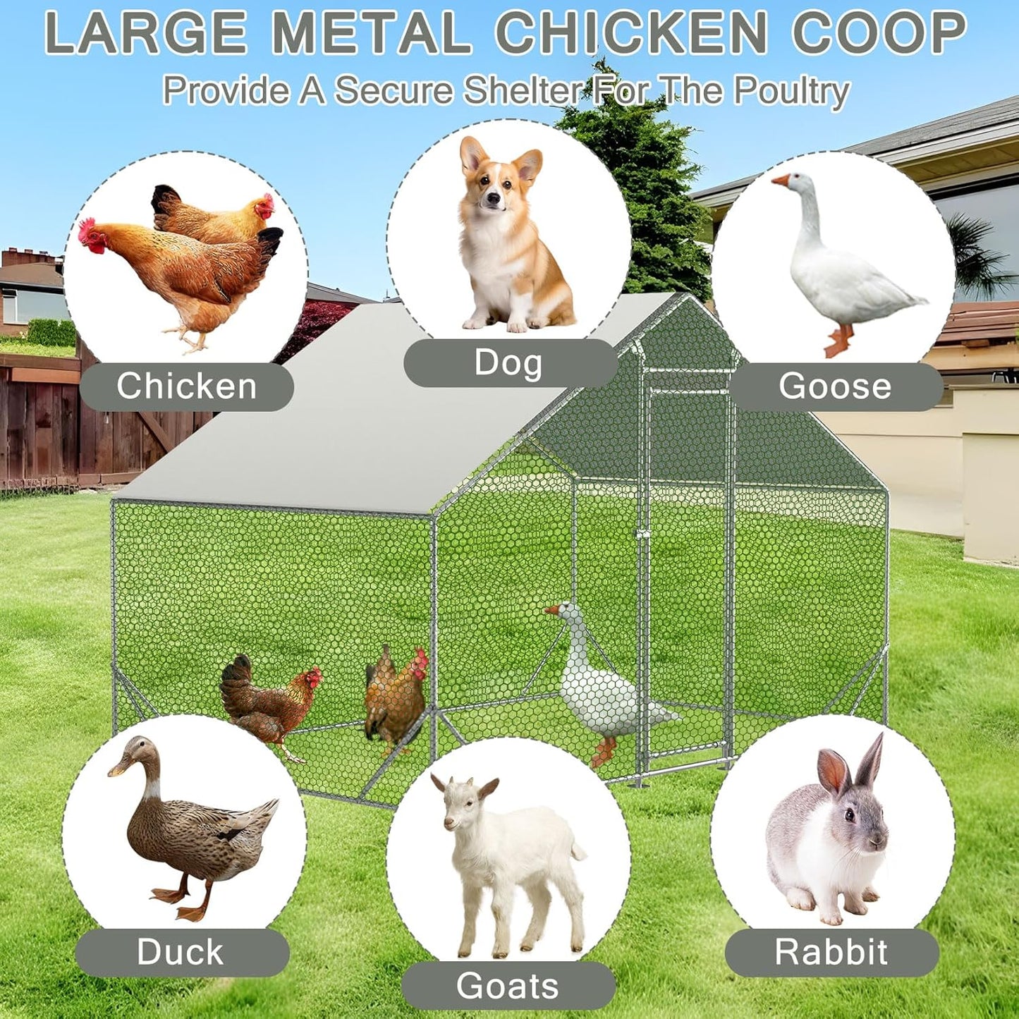 Large Chicken Coop Heavy Duty Chicken Cage Walk-in Chicken Run